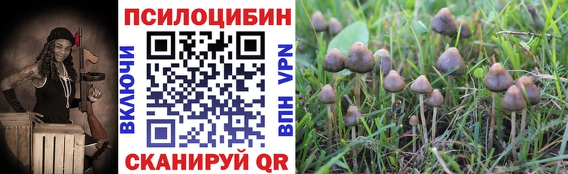 Псилоцибиновые грибы мухоморы  продажа наркотиков  darknet как зайти  Теберда 